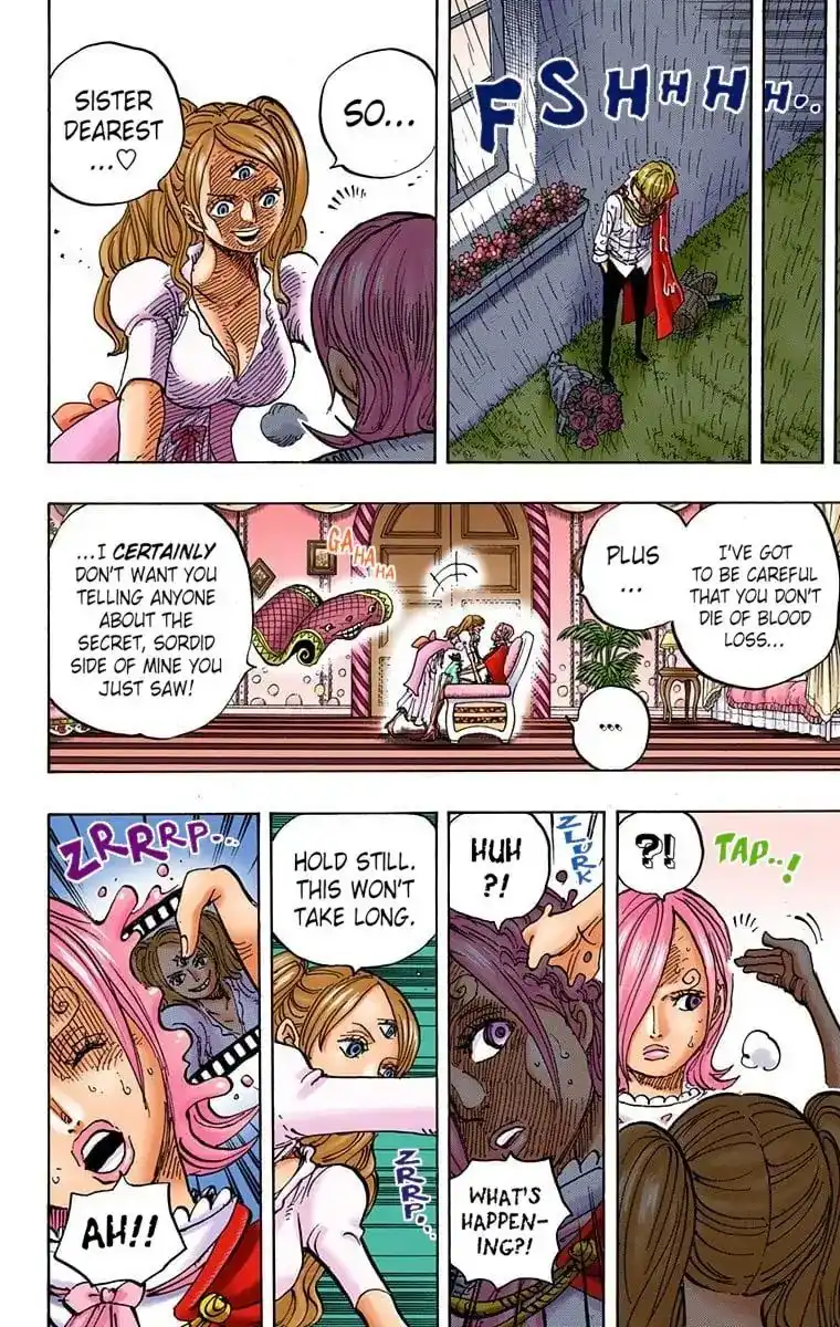 One Piece - Digital Colored Comics Chapter 851 11